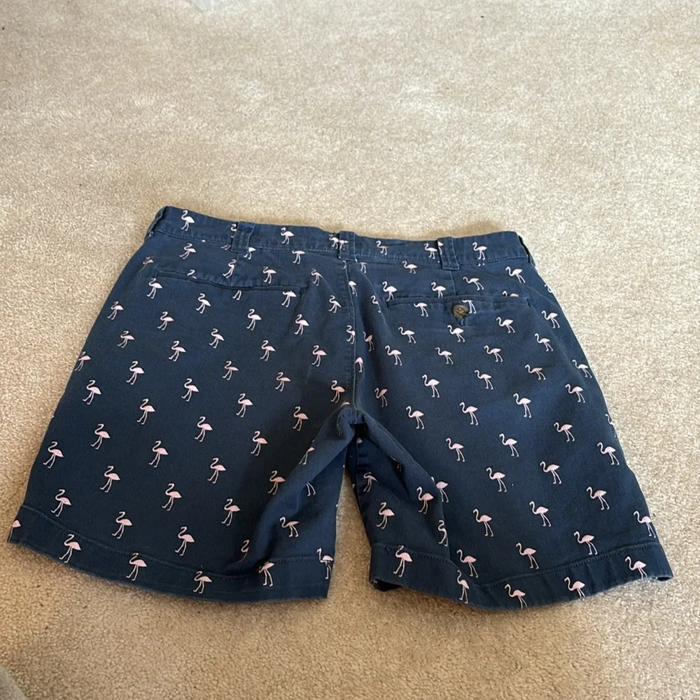 J. Crew Shorts